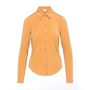Aritzia Wilfred Pose Longsleeve Blouse